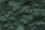 Moss Green
